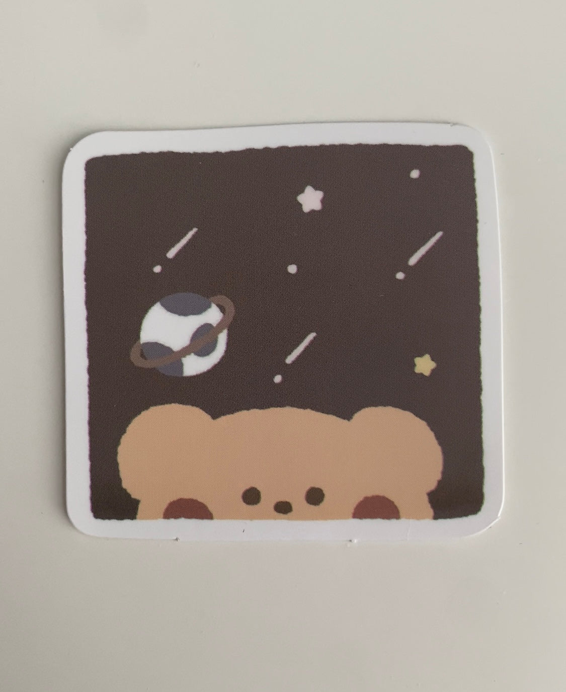 Bear is Out of This World